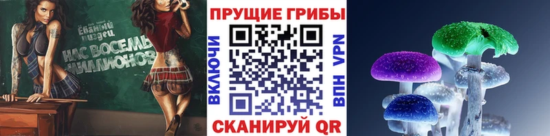наркотики  Кубинка  Псилоцибиновые грибы Cubensis 